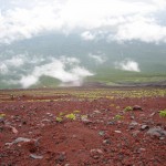 Mt. Fuji
