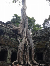 Cambodia