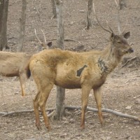 IMG_5186