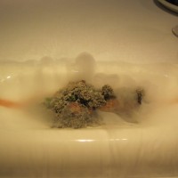 IMG_0808
