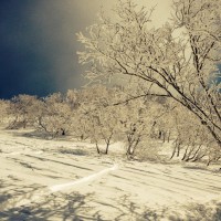 IMG_4520
