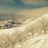 IMG_4521