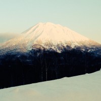 IMG_4529