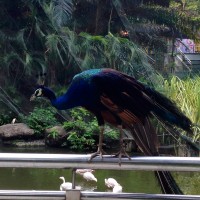 IMG_5180