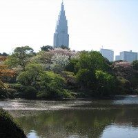 IMG_5568