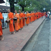 IMG_7915