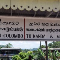 IMG_8299