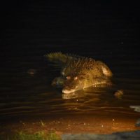 IMG_8471
