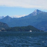 IMG_2917