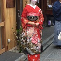 IMG_8791