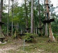 images-4